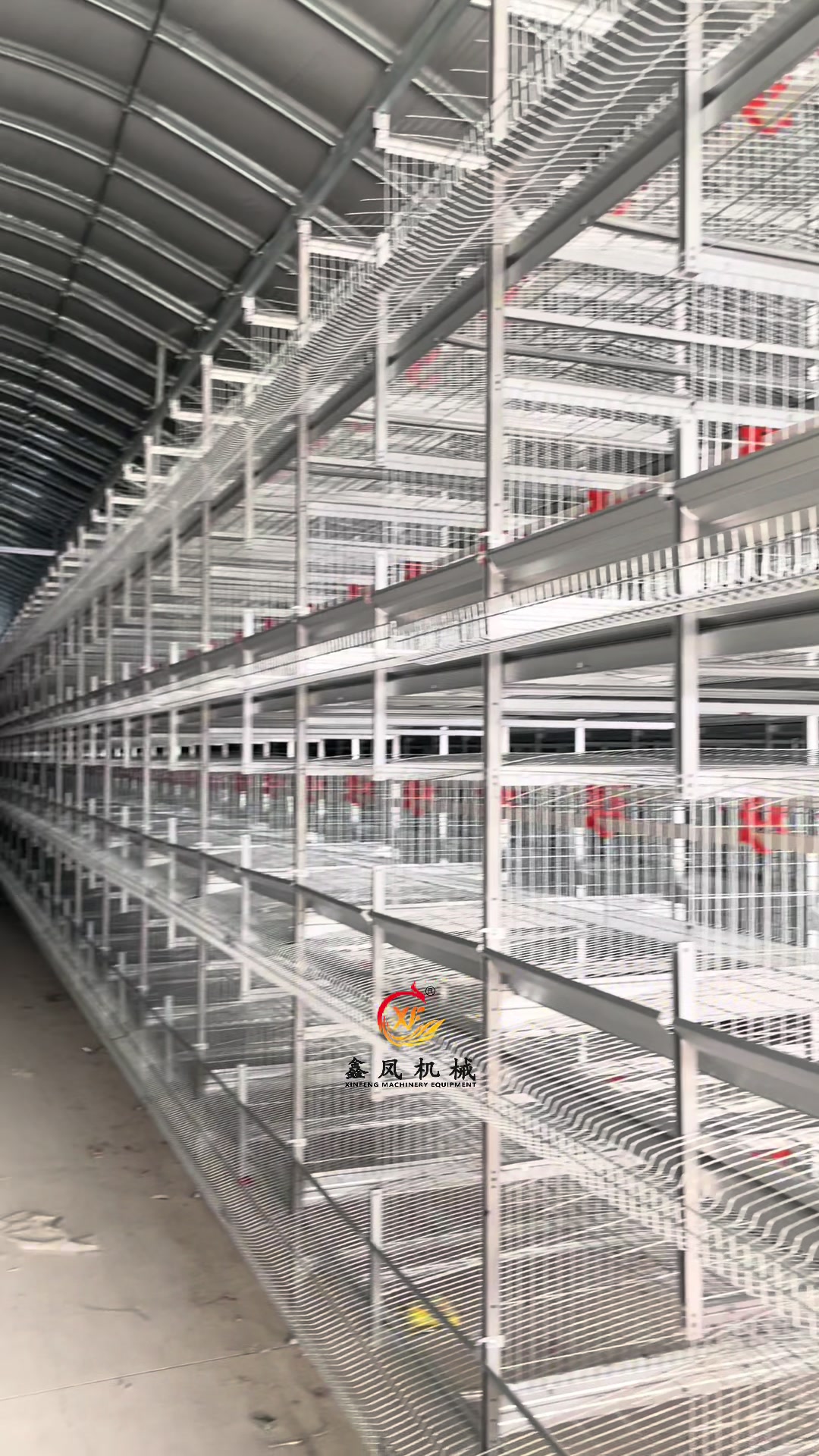 @Auto Poultry Cage Manufacturer