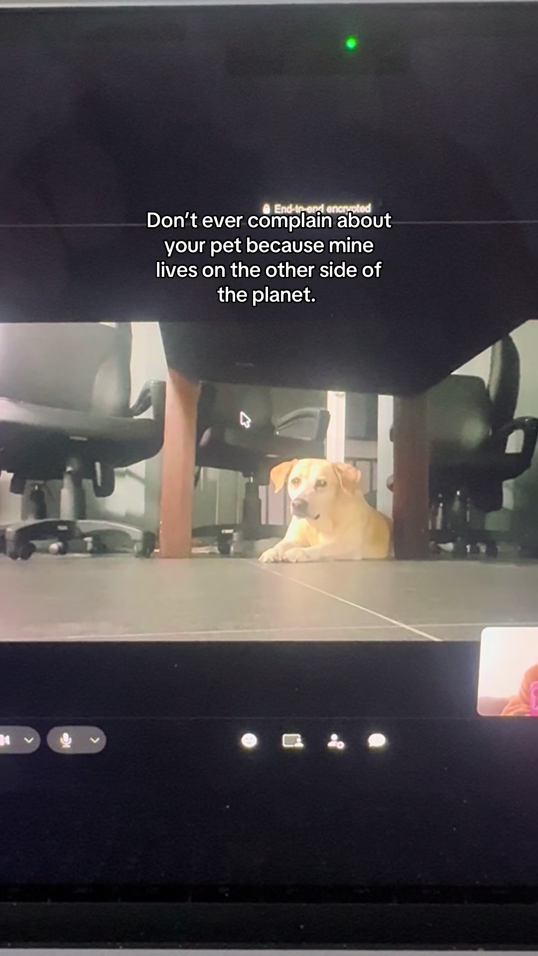 @Senara Dev