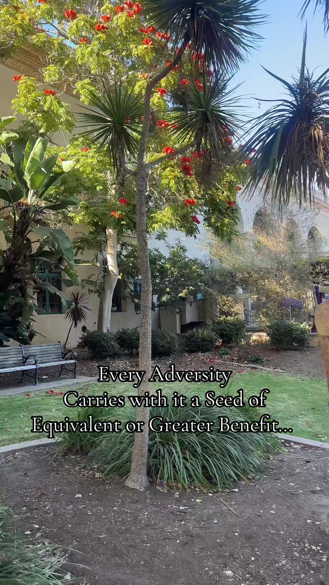 @Sacred Feminine Flow-PMDD HELP