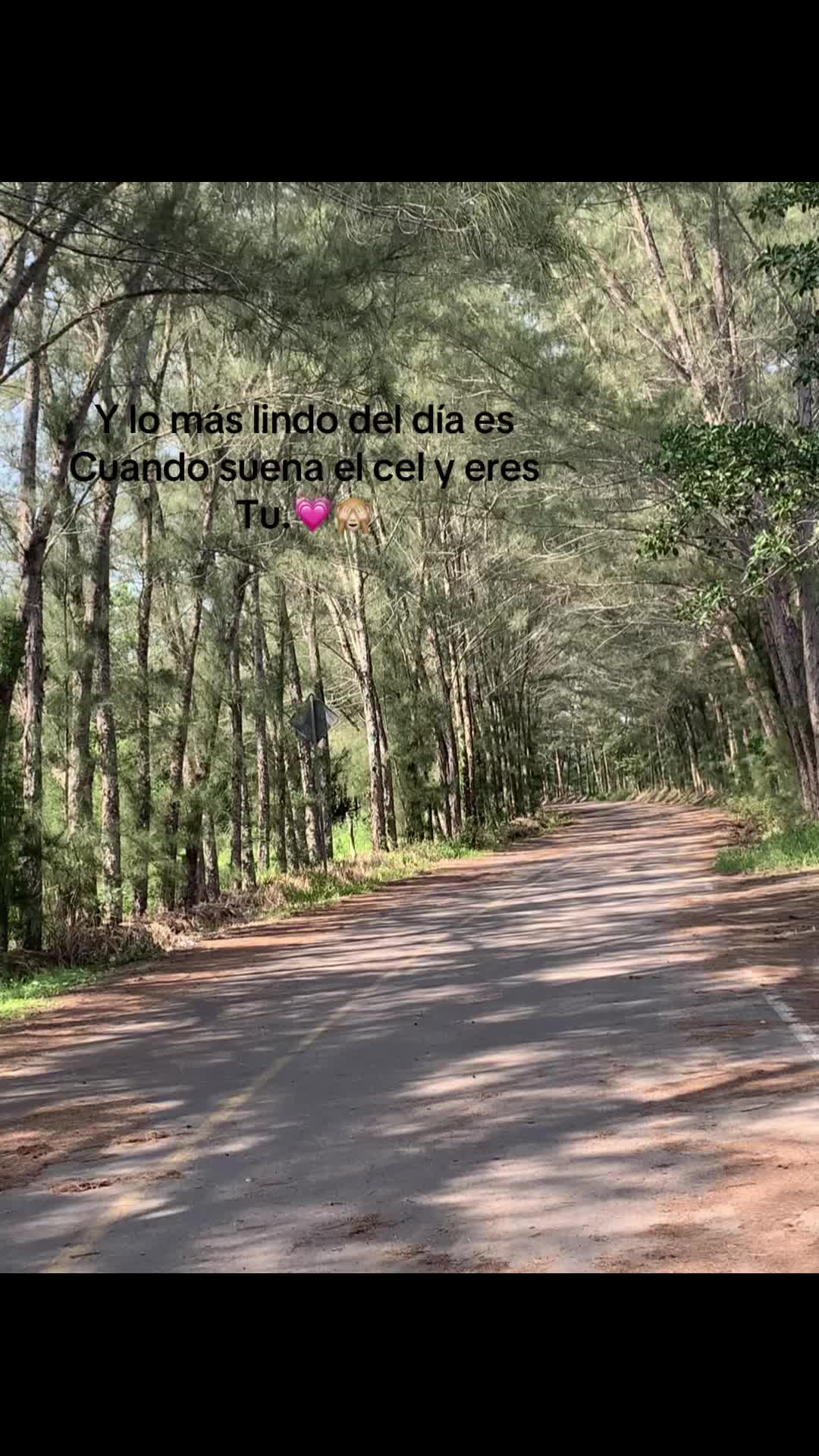 @@ᥫ᭡ ✮ nikol perez✮ ᥫ᭡ᥫ᭡✭◎