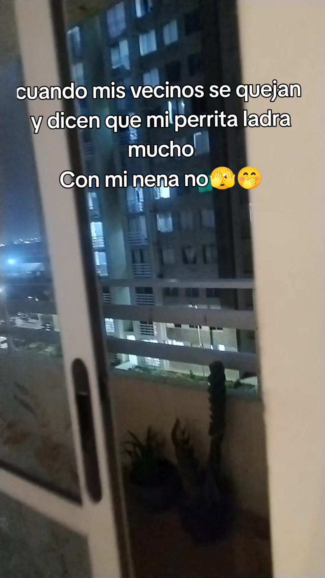 @Omairalidernovaventa