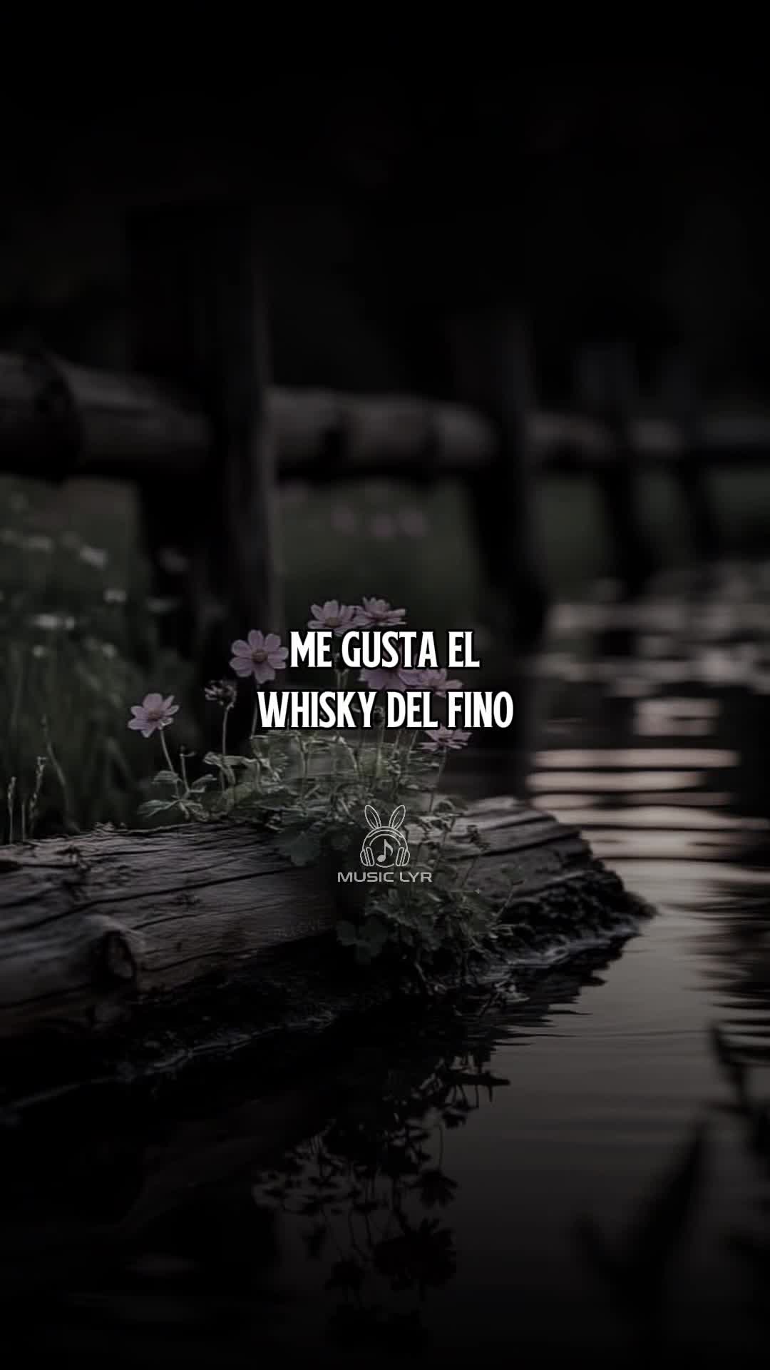 @Music_lyr