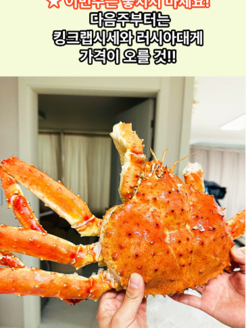 @킹크랩 대게 동해수산유통