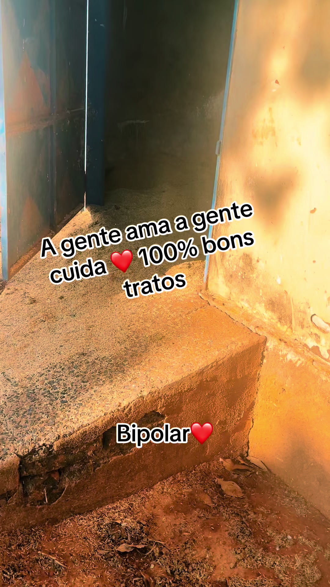 @Bia Mulato