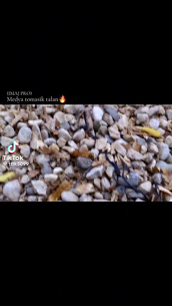 @rejinalsidjay2
