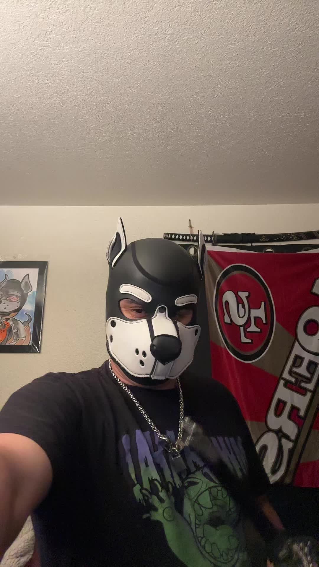 @pup_fenrir