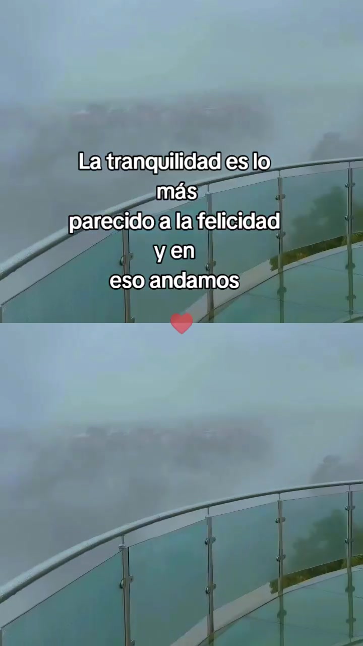 @Mon y Los minis⚡😎🤟🏻🖤
