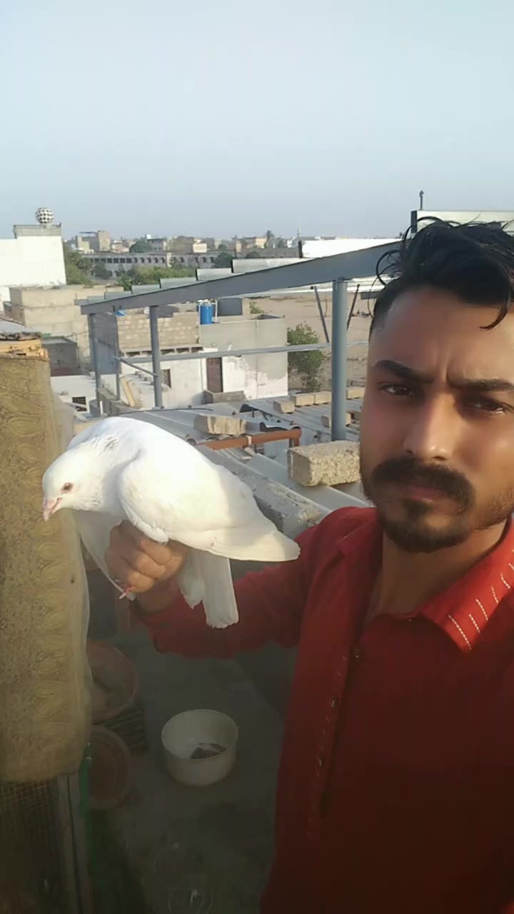 @Sadaqat Arain