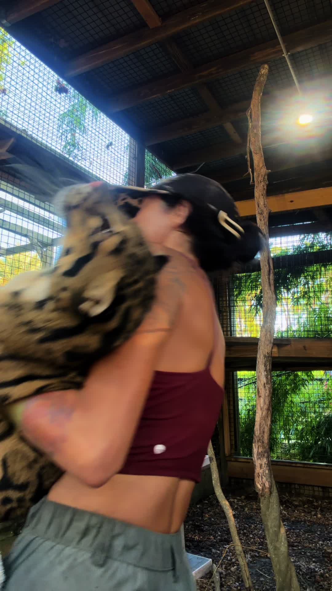 @Xtremeexotics