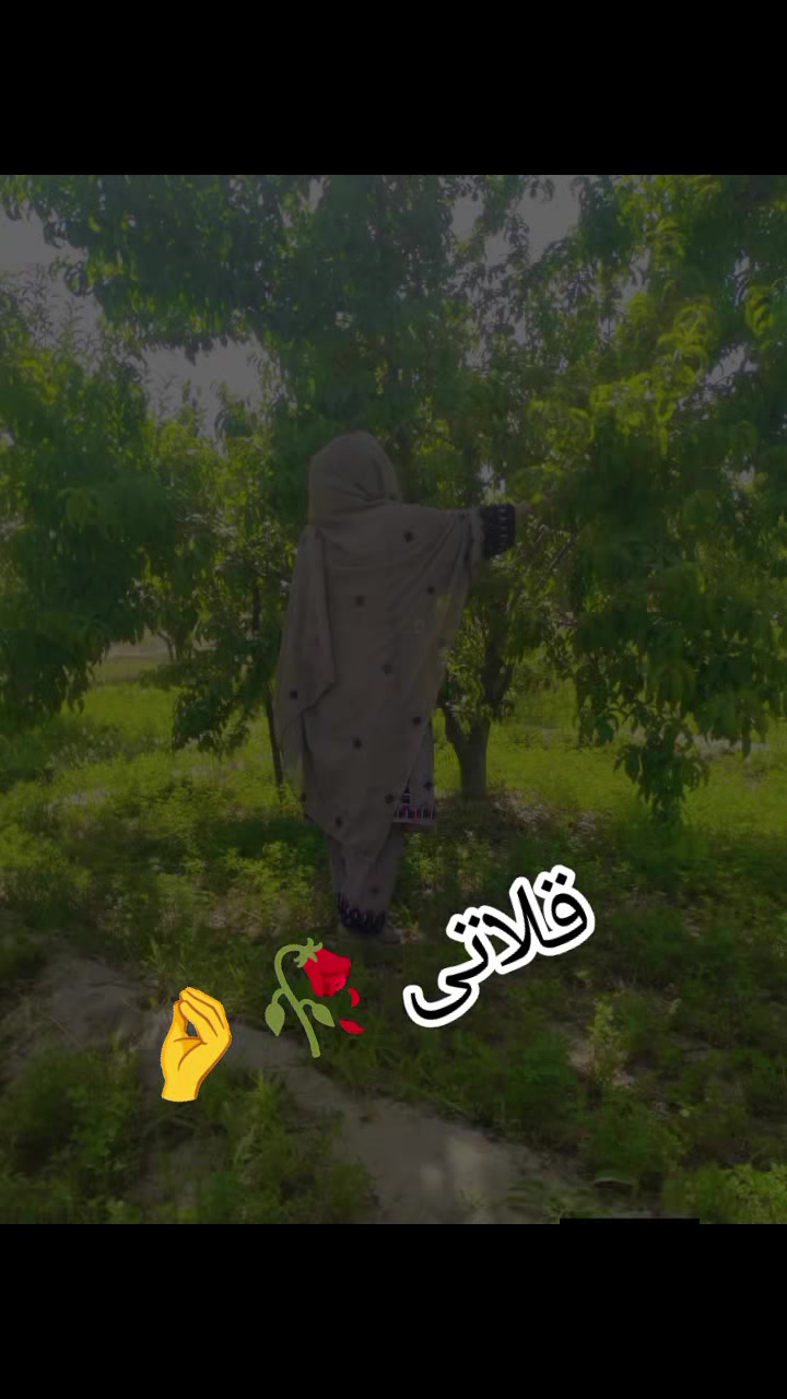 @ثانیہ بلوچ قلاتی 🤌🫶 786