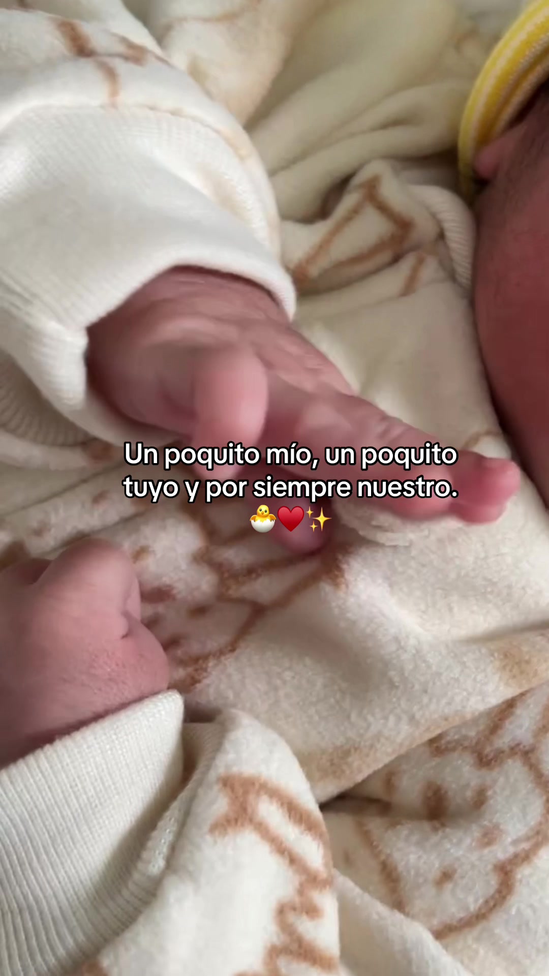 @Beritaa🦋