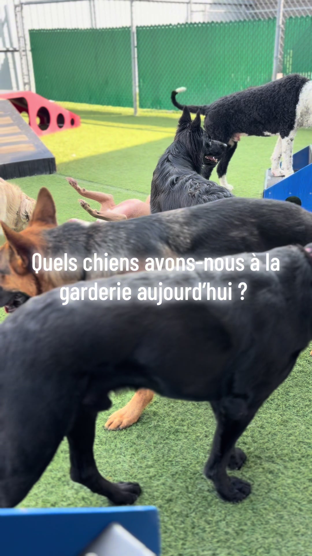 @centrecanindesruisseaux