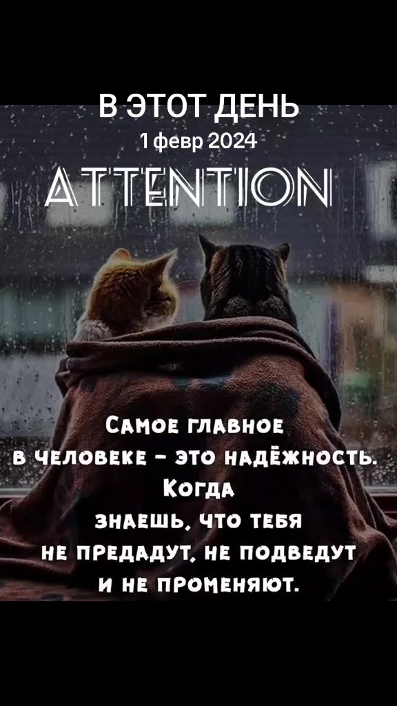 @Кемел