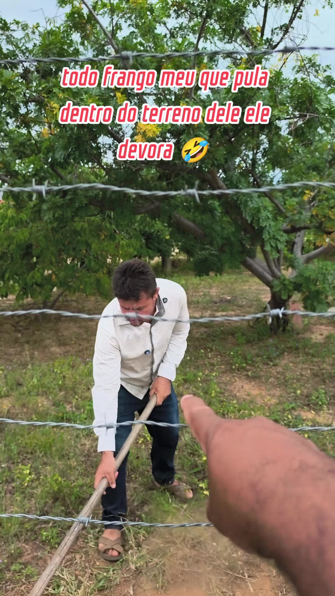 @josuelsantos535
