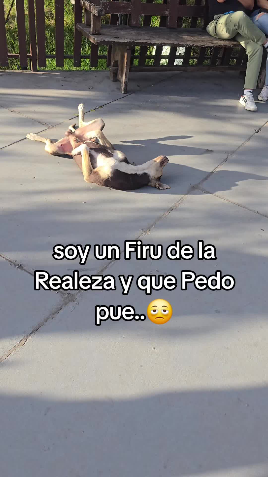 @JGalo
