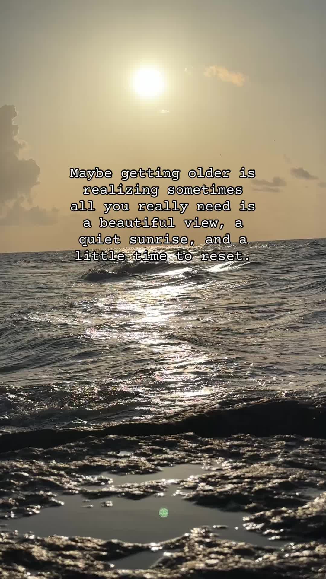 @Momma Squirrel ❌