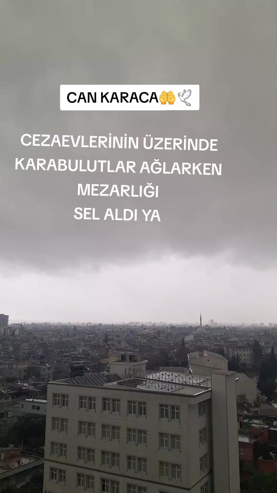 @can_gul0102