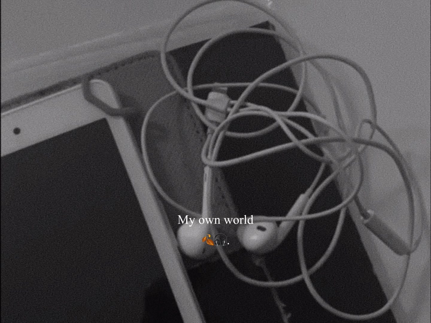 @๐๐๐๐๐๐|ุนูุชูุฑู ๐๐ปโ๏ธ