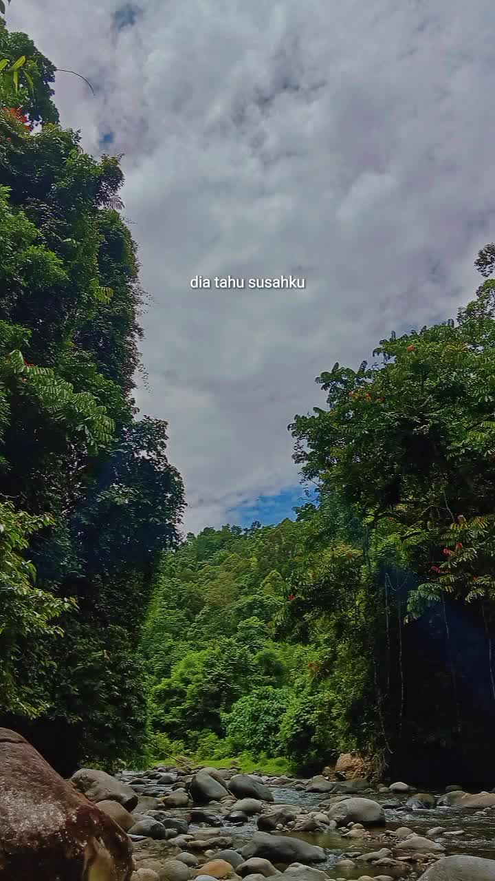@SENJA Nya Bubu🪴