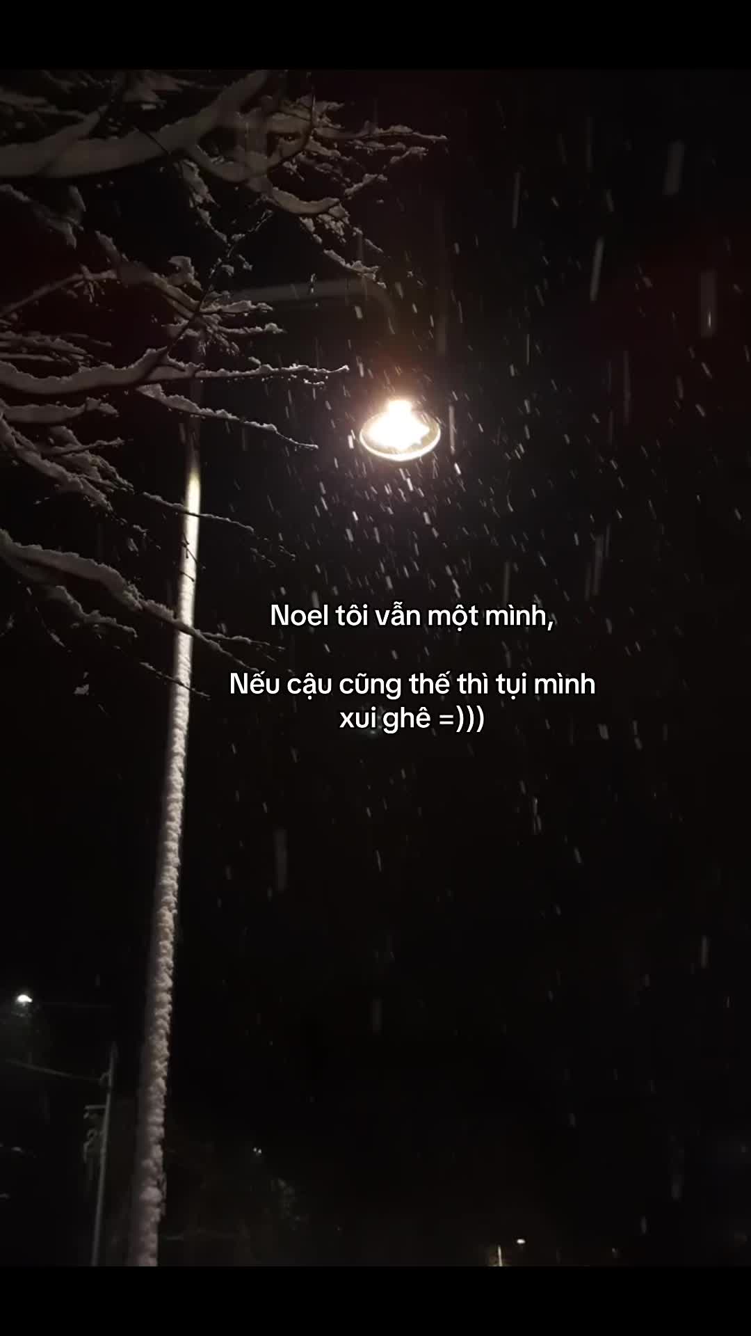 @vh_.04