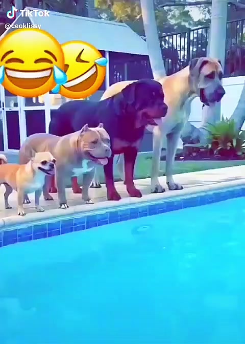 @dorcas mabuzi