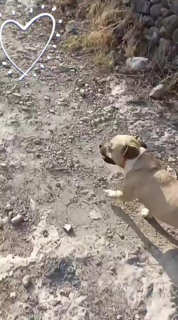 @oscar nava