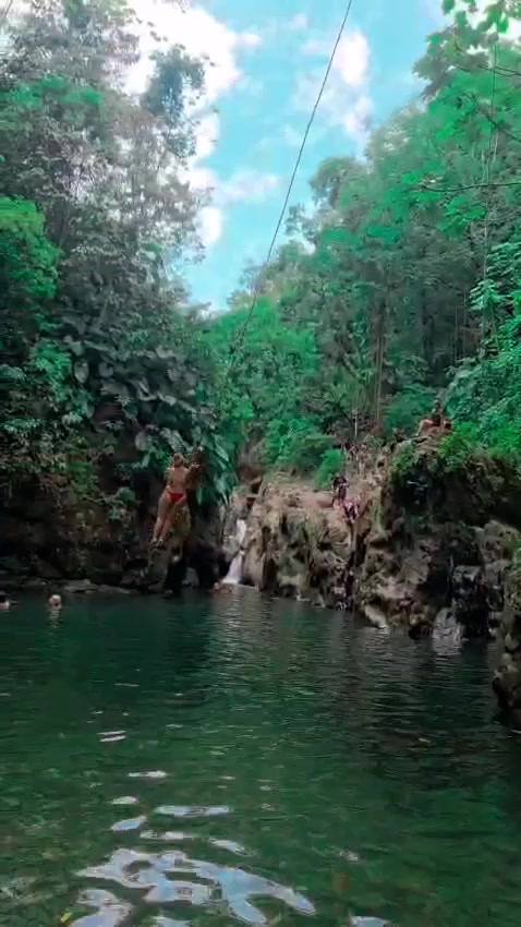 @🌺