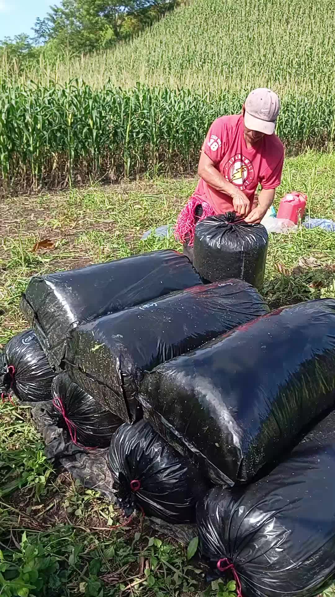 @user79817016631184