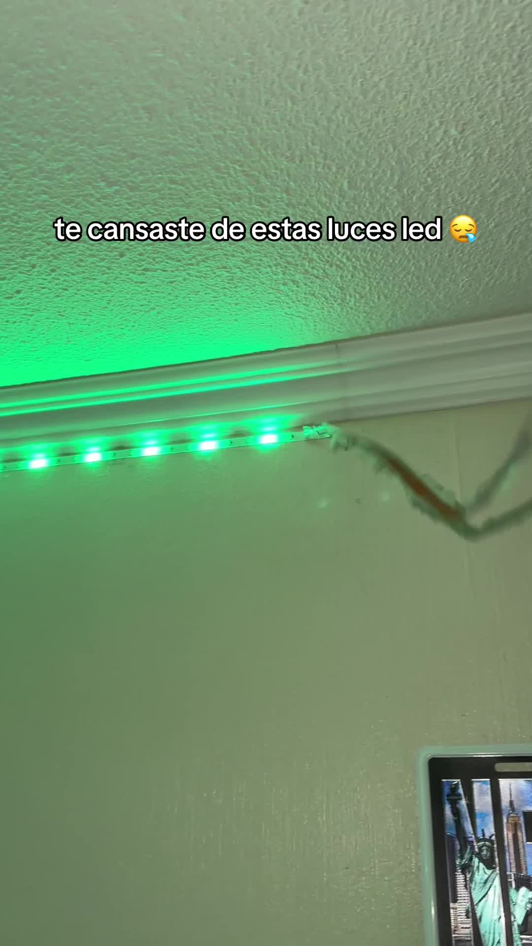 @ENLACE EN BI0 💫