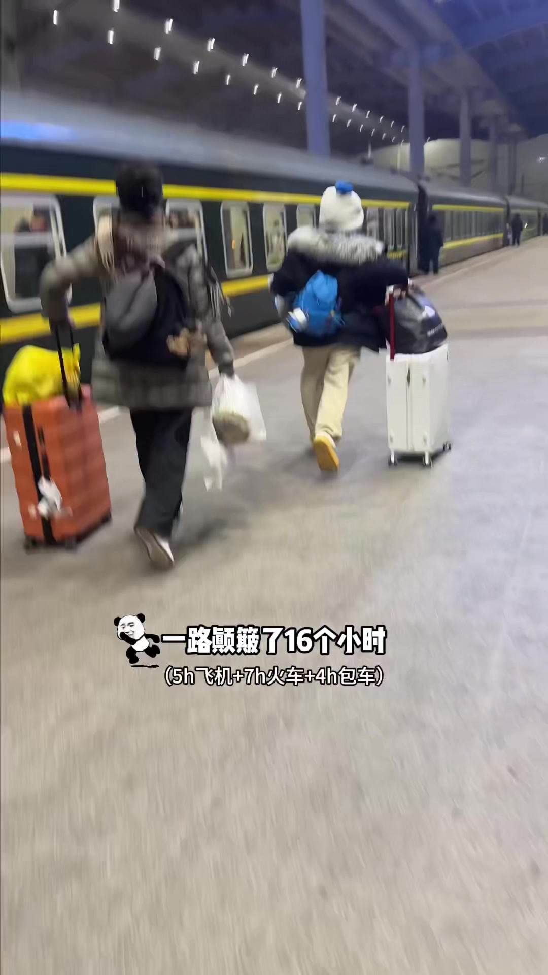 @樱桃老丸子呀
