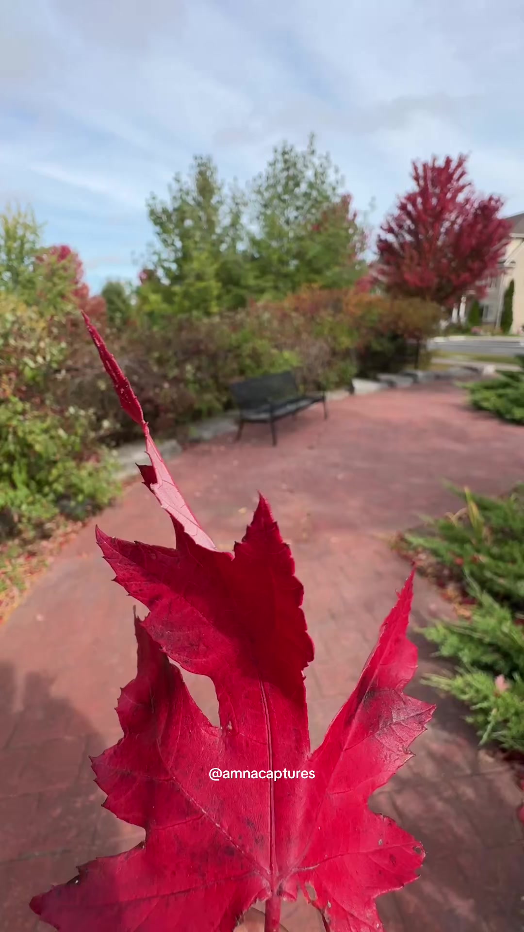 @Nature lover 🇨🇦