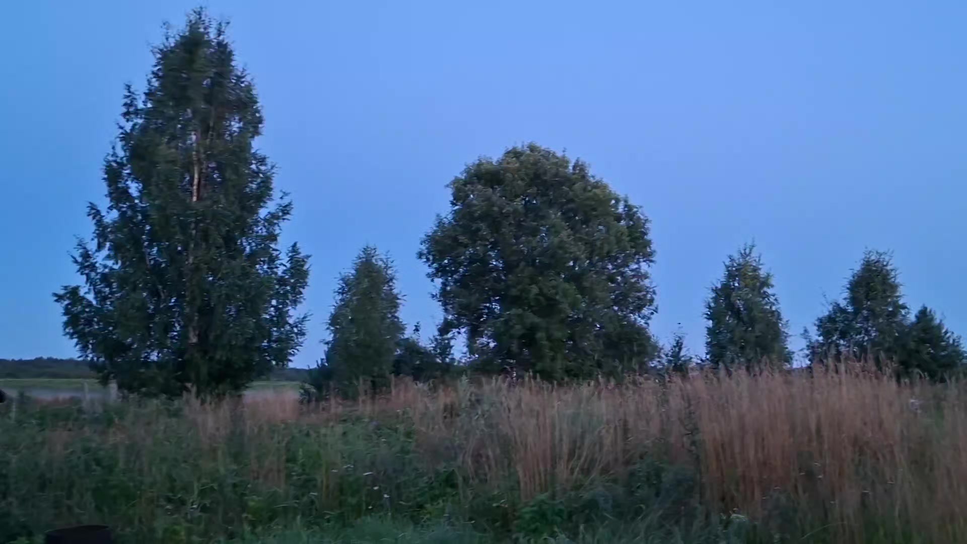 @𝘄𝗲𝗿𝘂𝗹𝗮𝘀𝗲𝗻