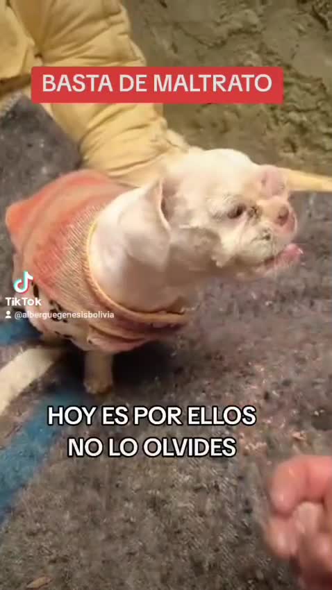 @Do&ntilde;a Se&ntilde;ora D