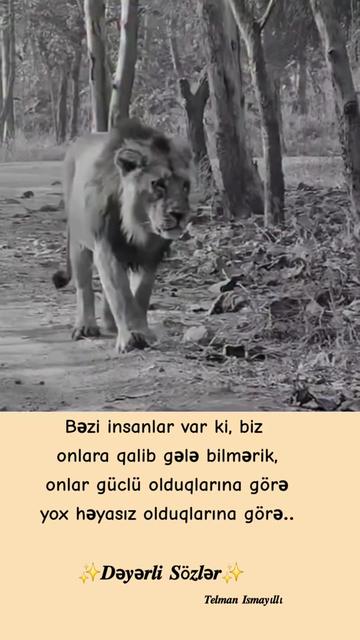 @𝑻𝒆𝒍𝒎𝒂𝒏 𝑰𝒔𝒎𝒂𝒚𝜾llı✨️