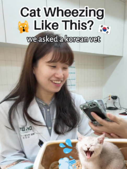 @Doctor By