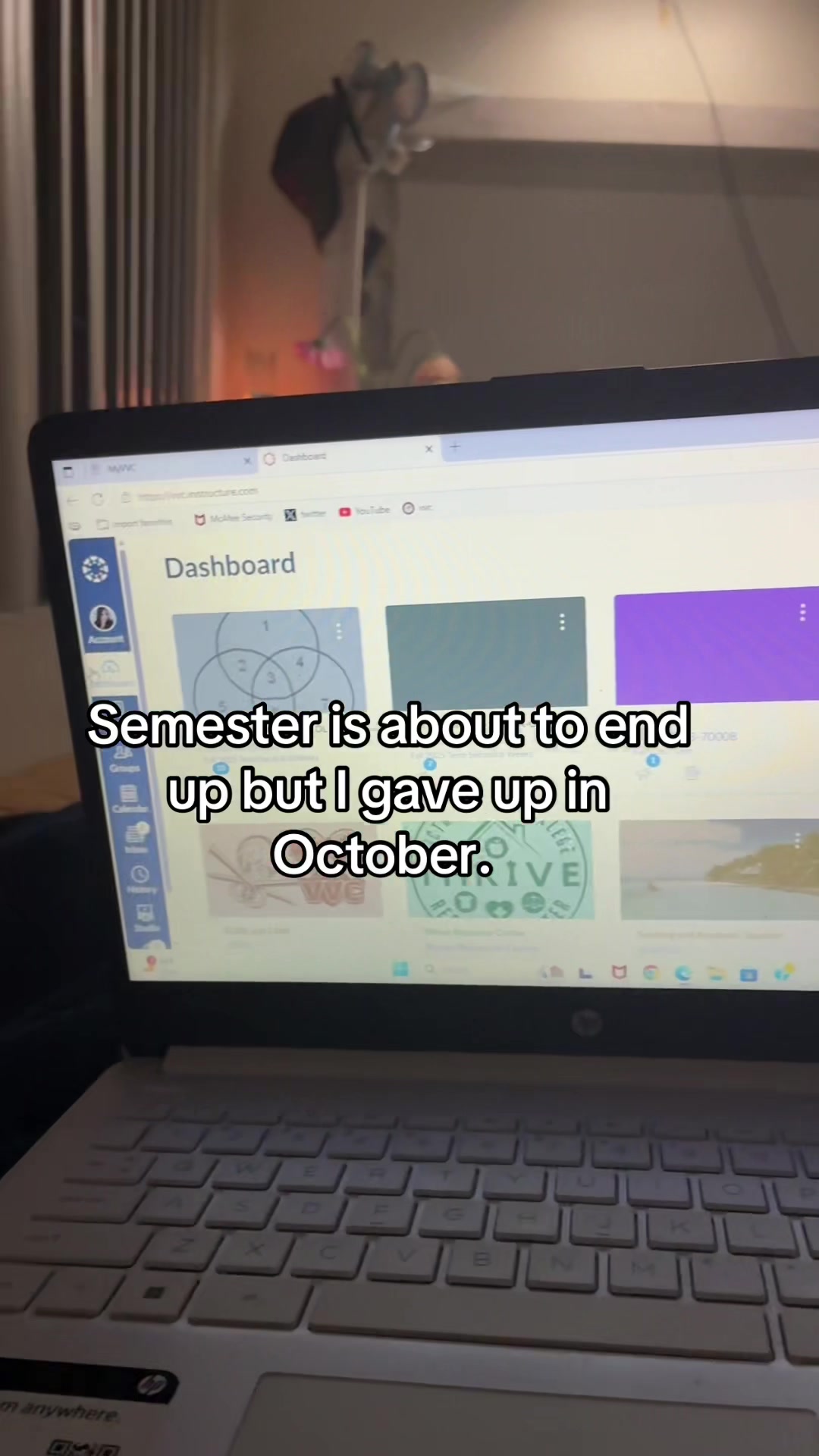 @🪻⋆˚࿔