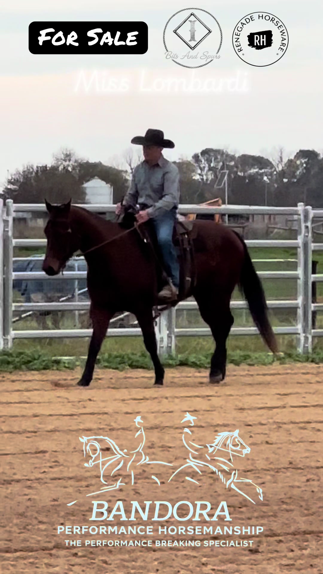 @Bandora_Horsemanship