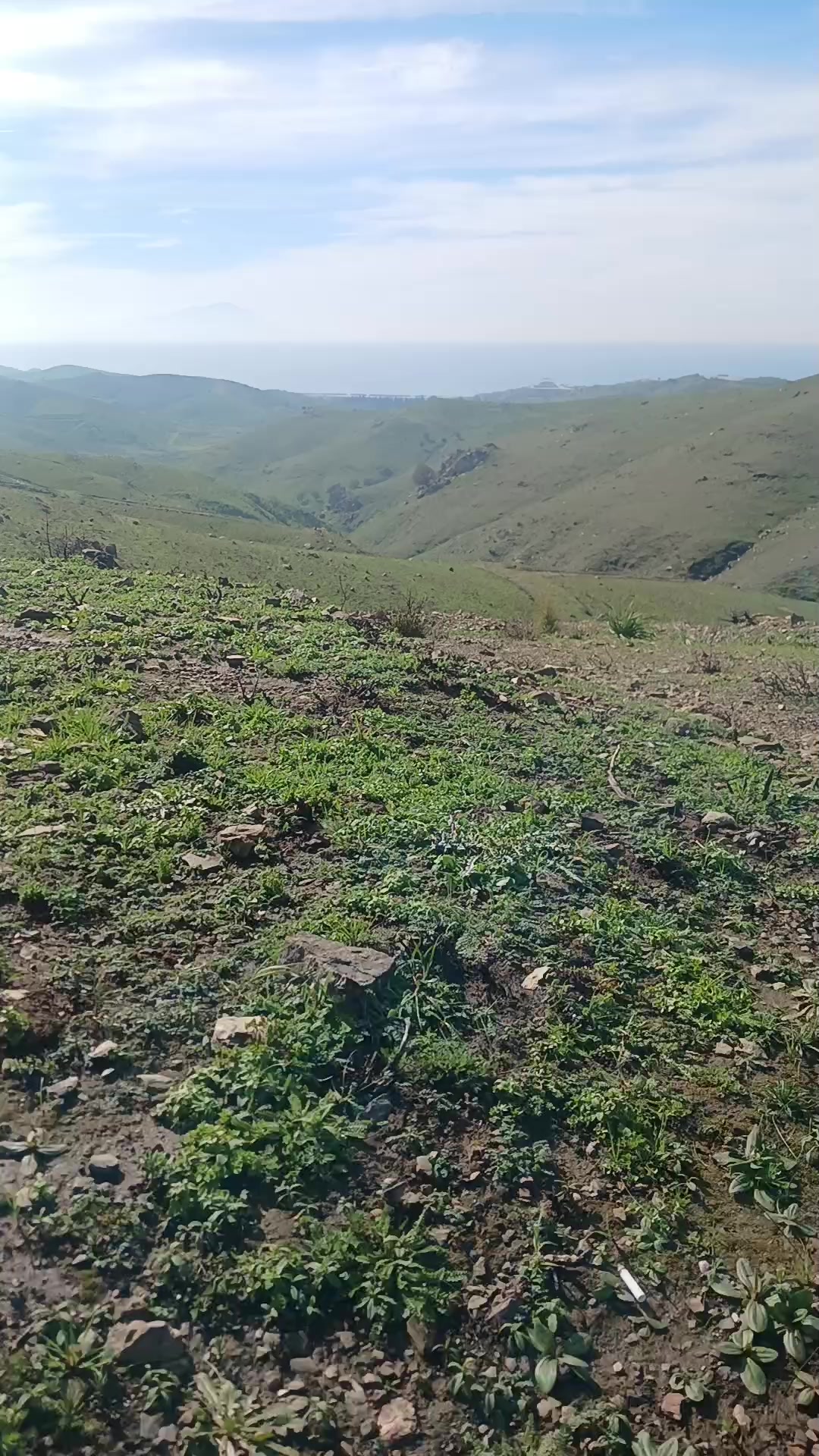 @AHMET ŞENTÜRK