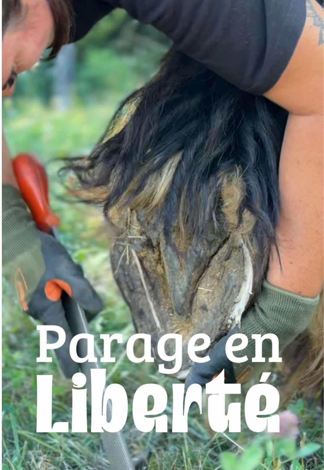 @Untraitdecheval