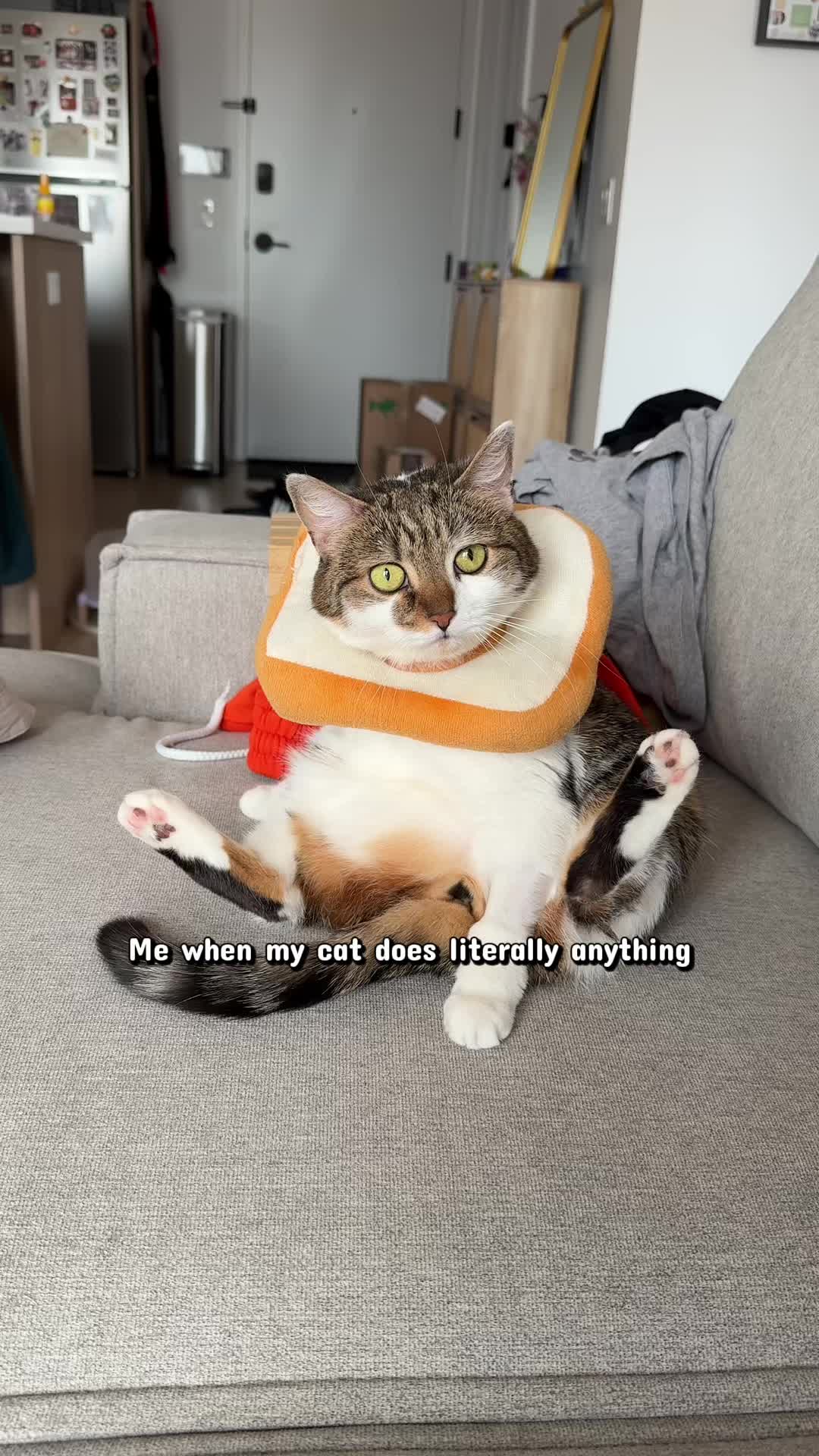@Suki Purrs