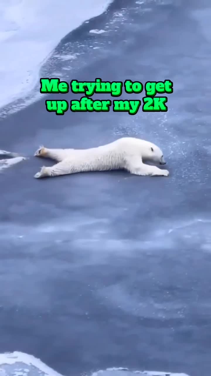 @RowingParadise