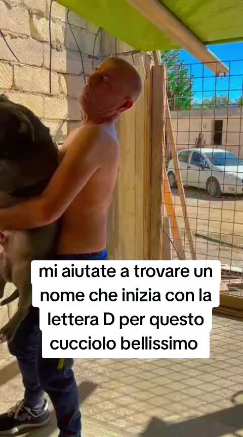 @Alfio Arcifa Magistrale