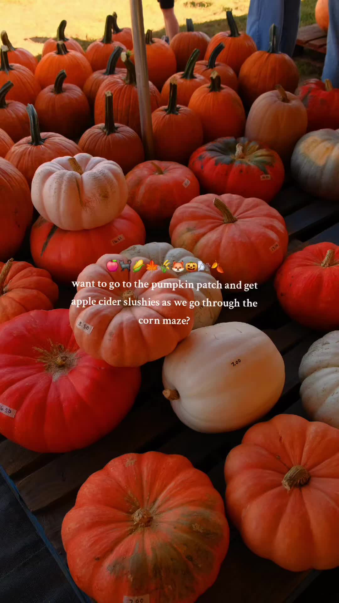 @ᥴіᥱrrᥲ 🍁