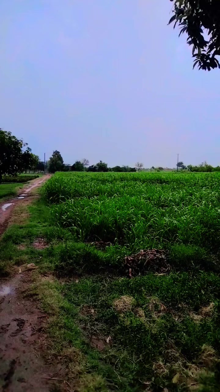 @عمران گجر