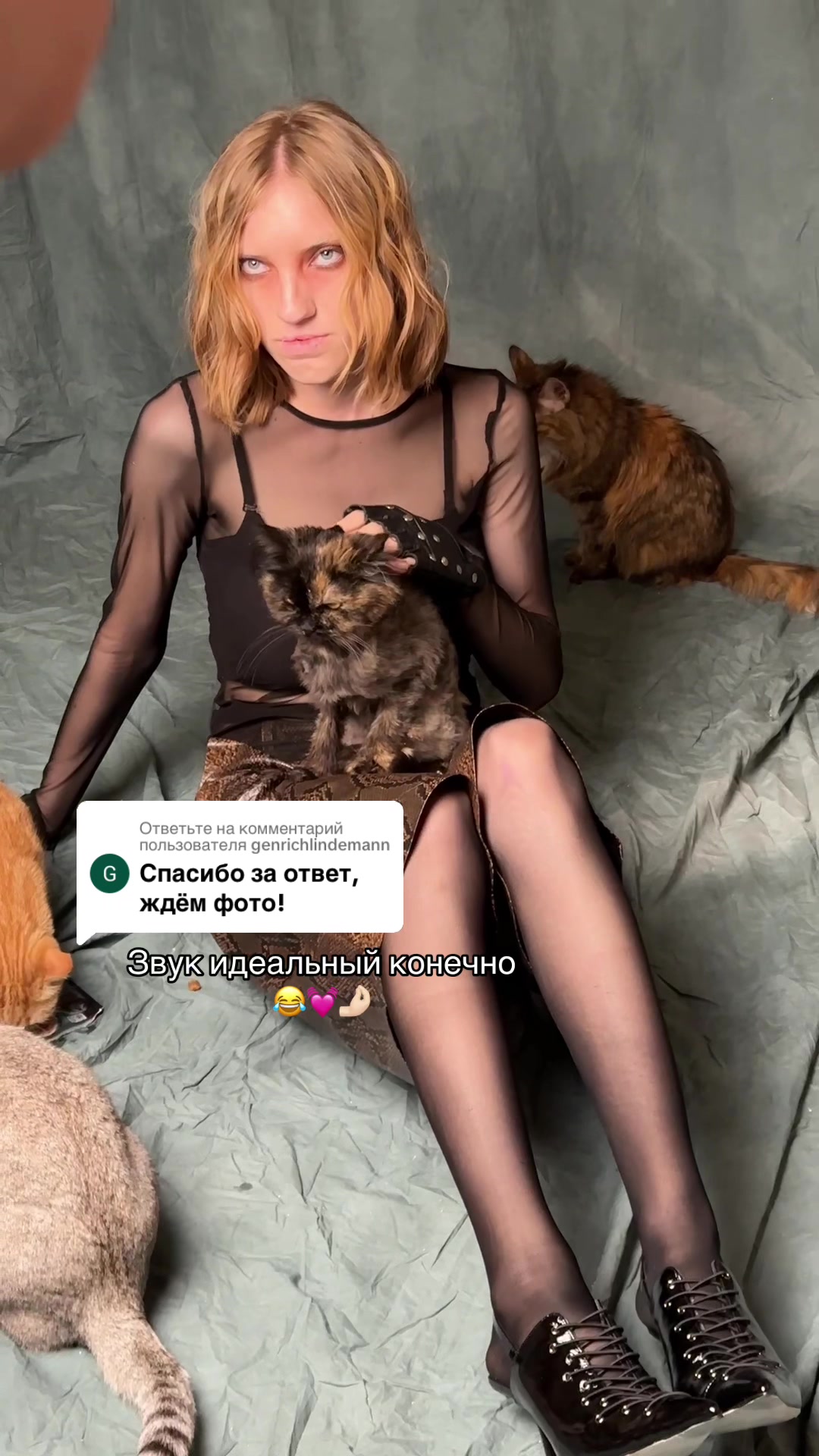 @Тгк: ~ Нетипичная модель ~