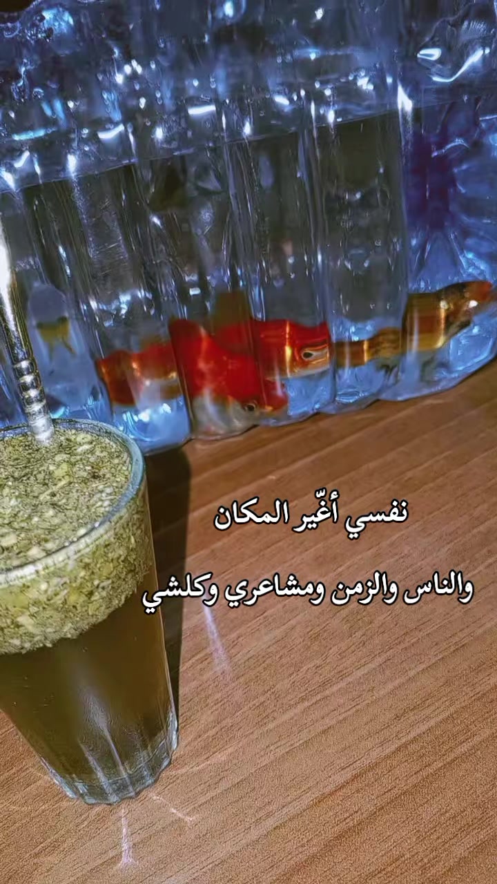 @𝒜𝒾𝒹𝒶