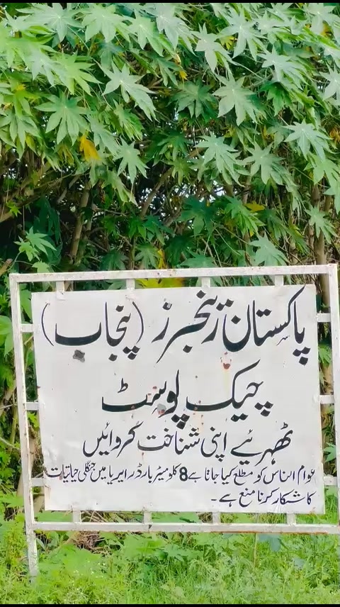 @Saim Alee 🐬
