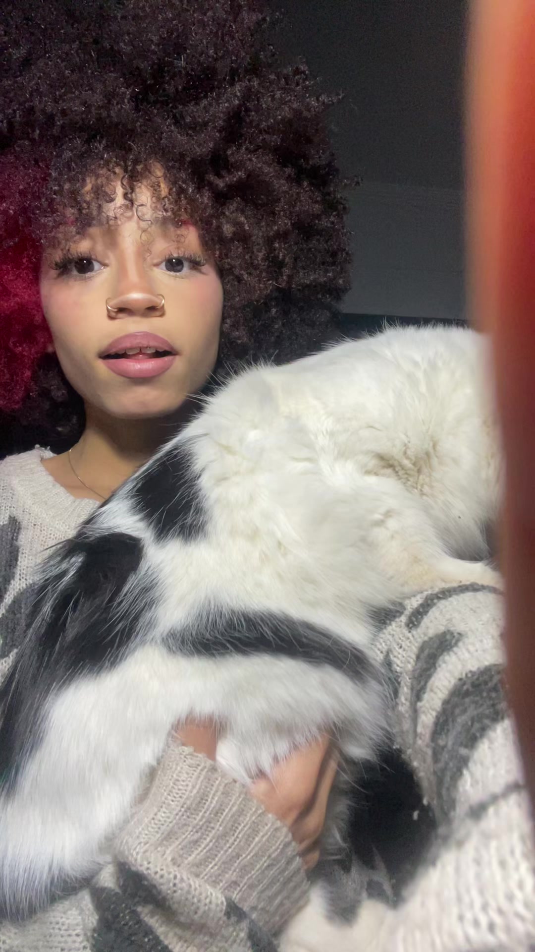 @ailahxvs