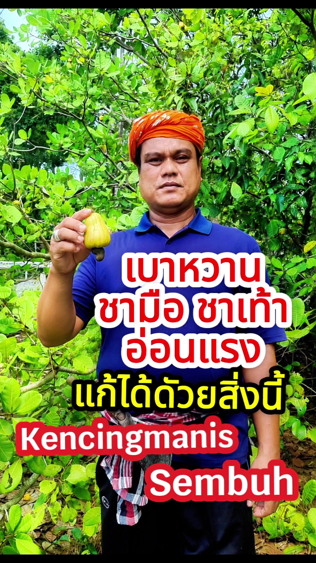 @Paklong Herb