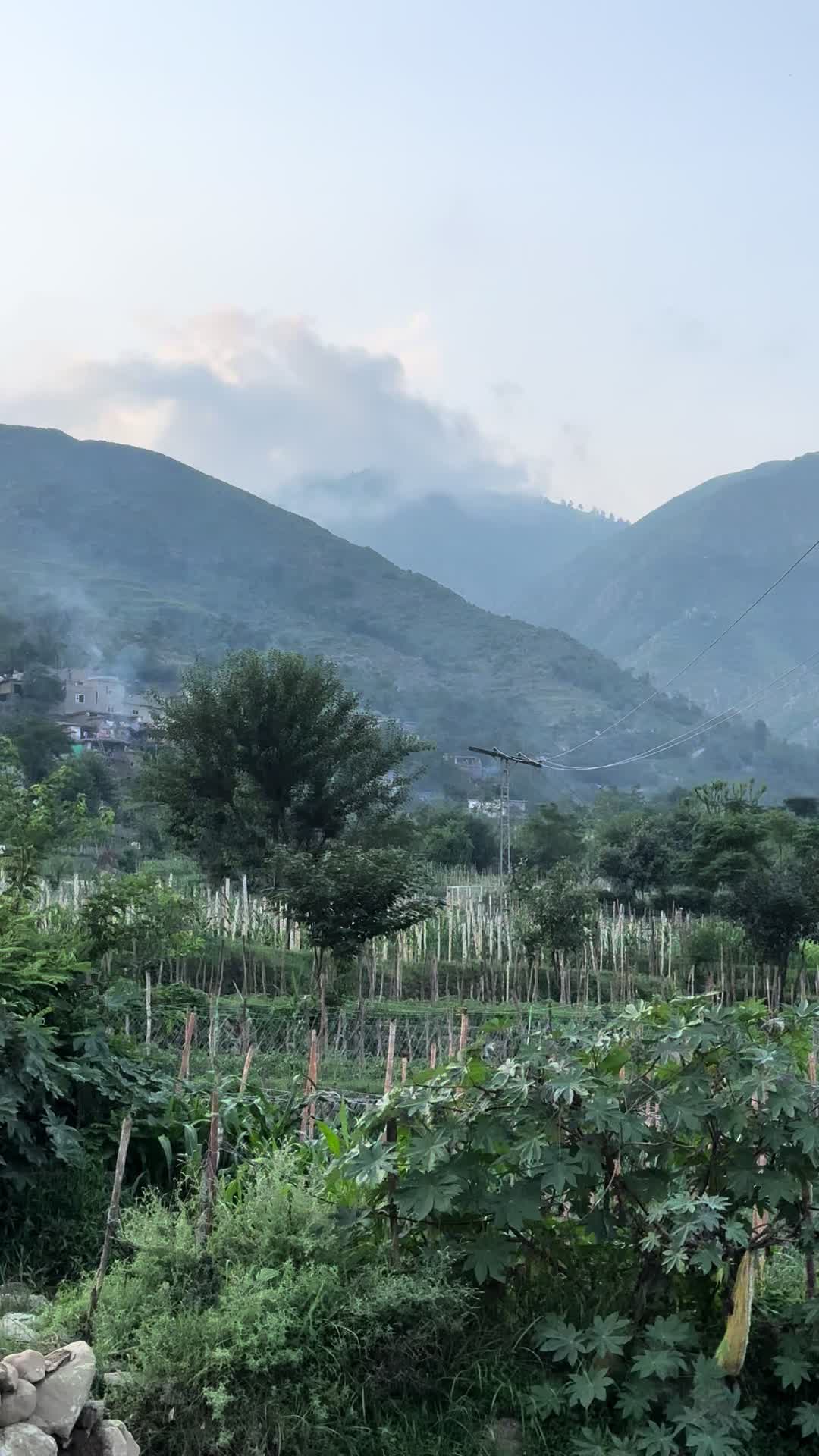 @Hayat Khan